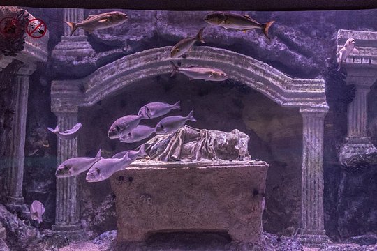 Tour image 8