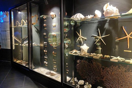 Tour image 11