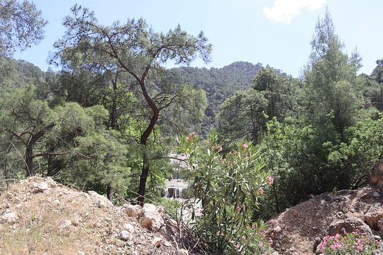 Tour image 12
