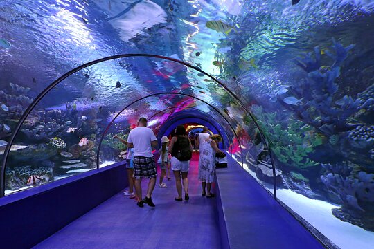 Tour image 1