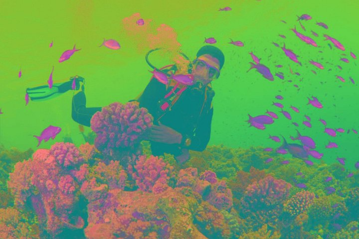 Scuba Diving Tour